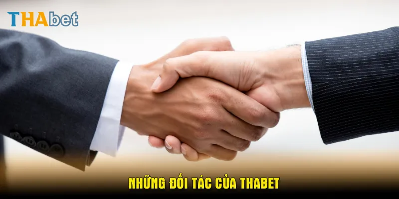 Những đối tác của thabet
