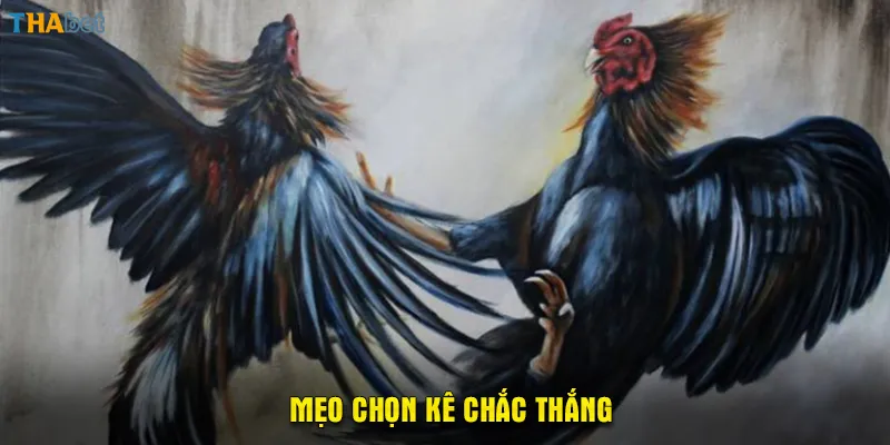 Mẹo chọn kê chắc thắng