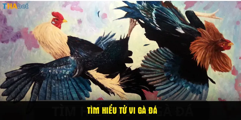 Tìm hiểu tử vi gà đá