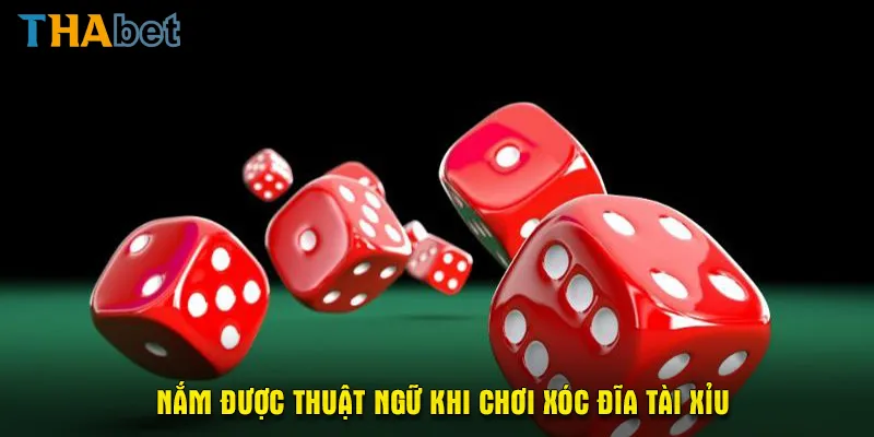 Không nắm được thuật ngữ thì không nên chơi xóc đĩa tài xỉu